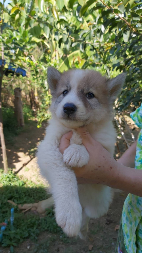 17E5342F EA86 4F2F A0FF DBC64A5B13FE