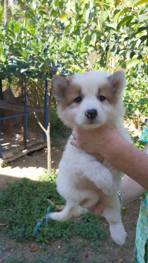 7CA65973 2BEE 4EAB 8E2C 9934C3F3DFDC