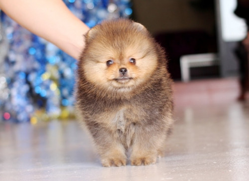 ผู้ไม่ทราบราคา 201222 3 Copy