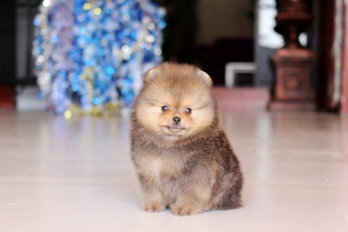 ผู้ไม่ทราบราคา 201222 7