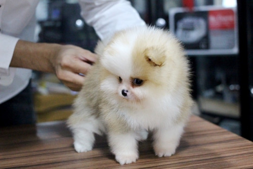 2021.1.19 1 210119 10