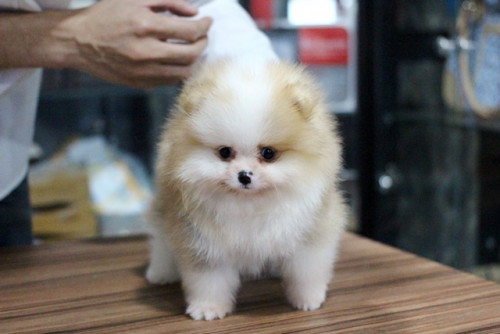 2021.1.19 1 210119 16