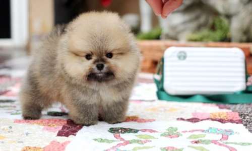 m213 ๒๑๐๑๒๑ 2