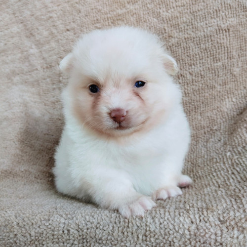 21 02 06 11 52 26 702 deco copy 1280x1280