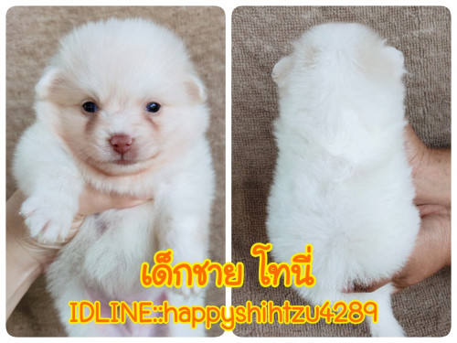 21 02 06 11 54 09 815 deco copy 1280x960