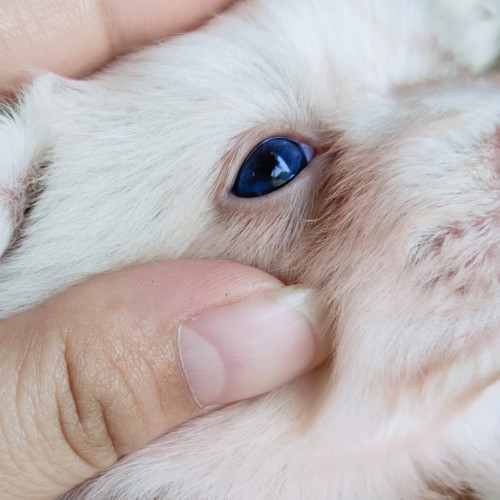 21 02 06 12 09 51 890 deco copy 1280x1280