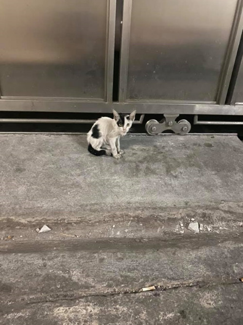 21 1