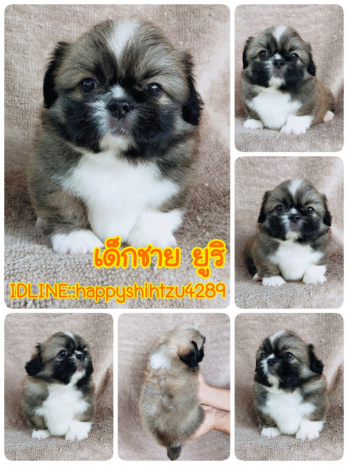 21 03 10 11 48 16 857 deco copy 960x1280