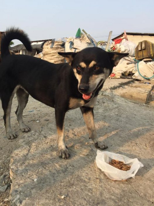 159971534 3748930625192711 5477557015867369958 n