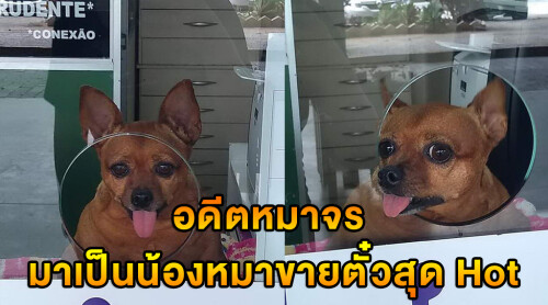a884109aee91efc67d1f2b252eba9c8a.jpg