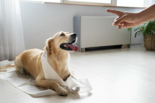 side-view-dog-playing-with-toilet-paper.jpg