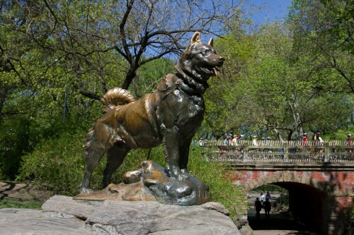 Balto.jpg